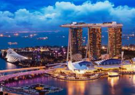 黄金网站app免费2024最新版